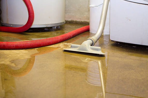 Best 24/7 water damage repair  in West Kennebunk, ME